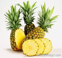 Sell pineapple