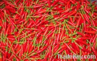 Sell Chilli