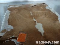 Sell brazil style cowhide area rugs