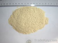 Sell Dehydrated garlic powder (new crop)