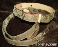 Sell  high quility pet collar/Leash Set