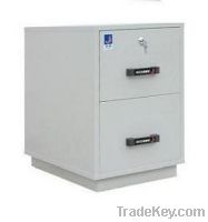 One hour- Fire anti-magnetic file safety cabinets.