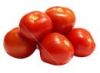 Sell - Fresh Tomato