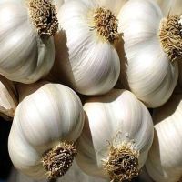 Sell - Garlic