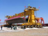 Sell 900 Ton Special Carrier Chinese Patent No.:ZL 2005 2 0103809.3