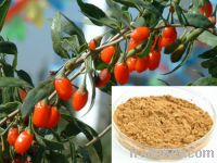 Sell wolfberry Extract