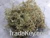 Sell White Willow Bark Extract