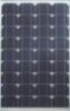 Sell solar panel/module