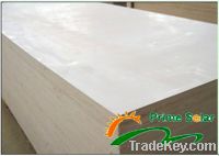 Sell Paper-faced magnesium oxide Board