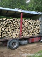 Firewood - beech, oak for sell