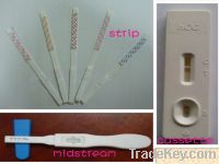 Sell Urine HCG pregnancy test kits