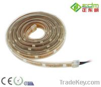 Sell Silicon Waterproof (IP67) 12V Smd5050 Led Flexible Strip Light 5m