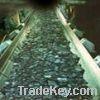 Sell Flame Resistant Conveyor Belts