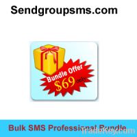 Sell (Bulk SMS Professional Bundle )