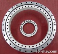 Sell the replacement of Rothe Erde slewing bearing