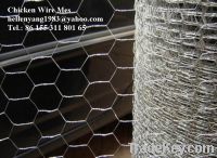 Sell Chicken Wire Mesh