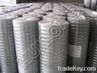 Sell Welded Wire Mesh