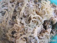 Sell Dried Cottonii seaweed