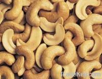 Sell White Wholes Cashew nut w320