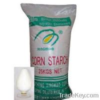 Maize Starch Powder