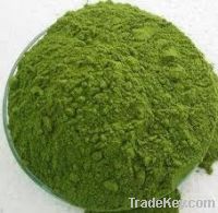 Moringa Leaf Powder