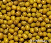 Mung Beans