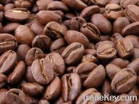 Robusta Coffee Beans