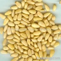 Sell Pine nut Kernels