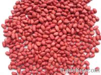 Sell Red skin peanuts