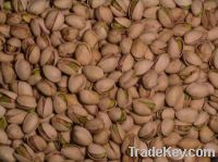 Sell High Quality Pistachio Nut
