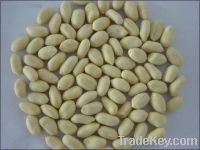 Sell BLANCHED PEANUTS 41-51
