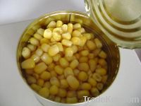 Sell Canned Sweet Corn