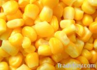Sell Sweet corn