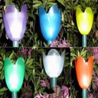 Sell solar tulip lights