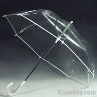 Sell Hight quality with low price PE transparent umbrella