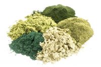 Moringa Leat Extract