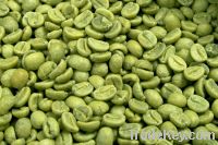 Sell  high quality Green Coffee Bean P, E, /exract powder with high qual