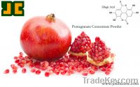 Sell Pomegranate Concentrate Powder with high quality from JC