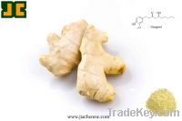 Sell Ginger P.E./ Extract Powder