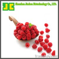 Sell Raspberry  ketone 99% for losing weight