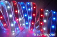 Sell led wire, el wire, flash wire, music wire, fashion wire