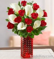 ROSES from Ecuador Winter prices till May 15th 2012