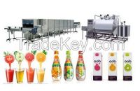 Apple/Orange/Grape/Cherry/Mango/Pomegranate Juice Production Machine Line