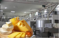Mozzarella, Hallomi Cheese (Butter) Production Line