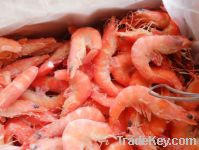 Sell Frozen Vannamei Shrimp