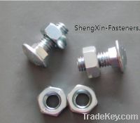 Sell Carriage Bolt