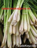 Sell lemongrass