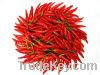 Sell small red chili