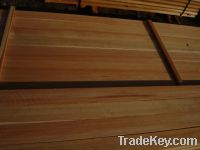 SELL Siberian larch and other saw timber