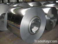 galvanized steel sheet/coil